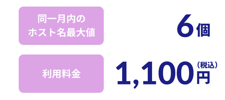 同一月内のホスト名最大値：6個、利用料金：1,100円（税込）
