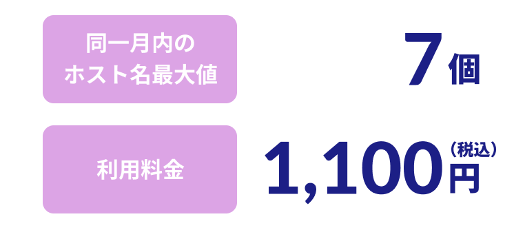 同一月内のホスト名最大値：7個、利用料金：1,100円（税込）
